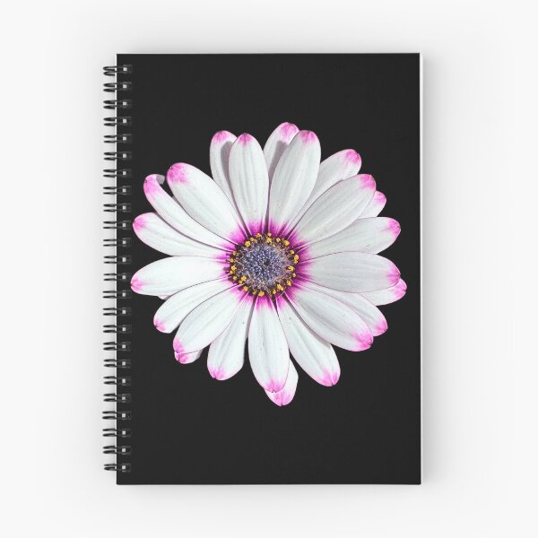 Item preview, Highlighted Tips designed and sold by Lee Darnell.