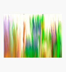The Beautiful Veil Oil Painting Abstract Photographic Print