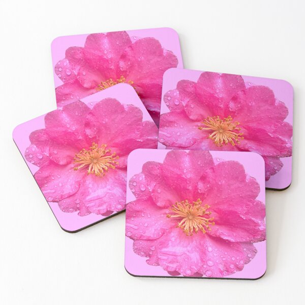 Item preview, Pink Camellia on a rainy Florida Winter's Day designed and sold by pelagio.