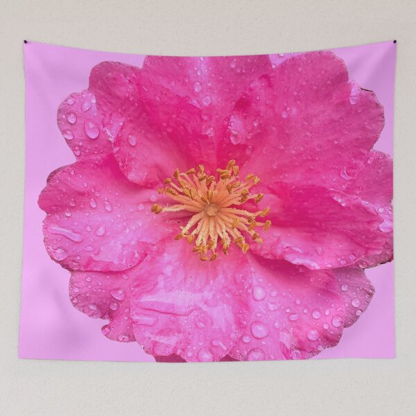 Item preview, Pink Camellia on a rainy Florida Winter's Day designed and sold by pelagio.