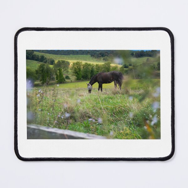 Item preview, Horse Photo with Flowers designed and sold by dgd artistry.