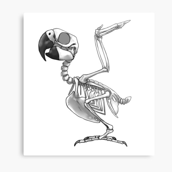 Parrot Skeleton Metal Print