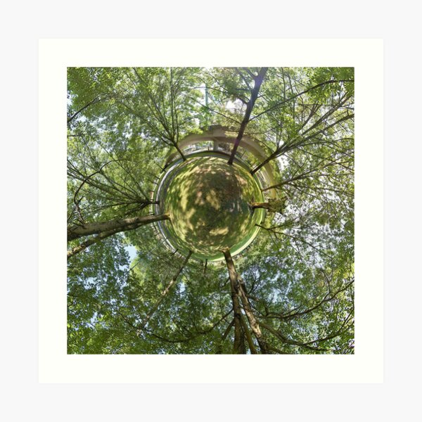 Treescape Art Print