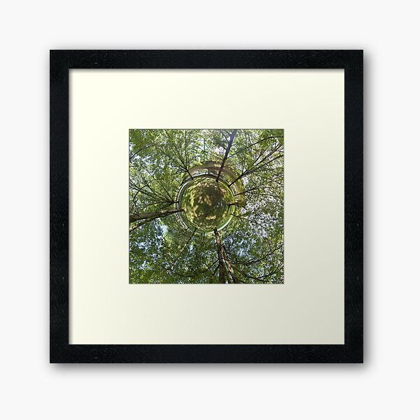Treescape Framed Art Print
