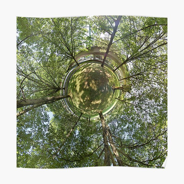 Treescape Poster