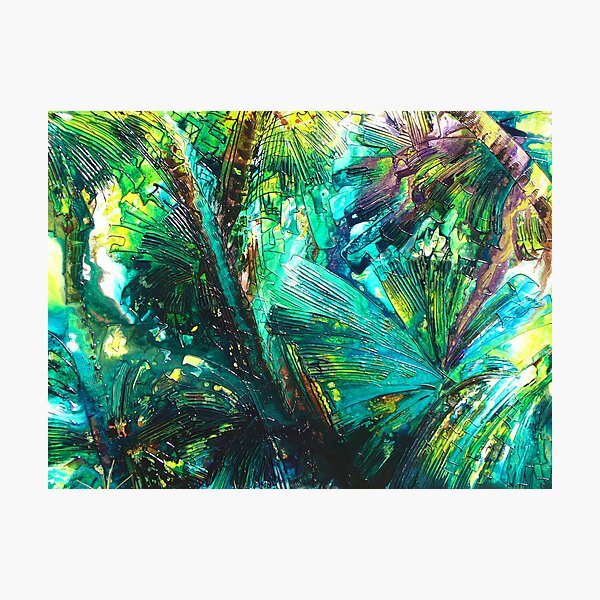 Licuala Palms Photographic Print