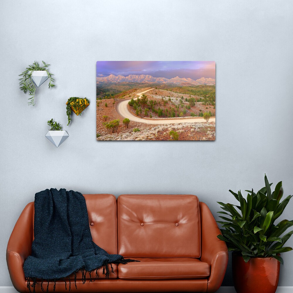 Bunyeroo Valley, Flinders Ranges, South Australia Metal Print