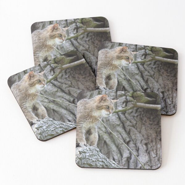 Item preview, European wildcat designed and sold by Calidris Fotografie Steffi & Ben Köppler.