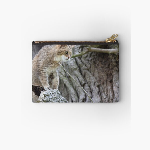 Item preview, European wildcat designed and sold by Calidris Fotografie Steffi & Ben Köppler.