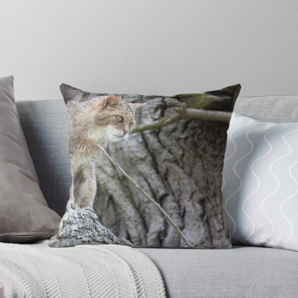 Item preview, European wildcat designed and sold by Calidris Fotografie Steffi & Ben Köppler.