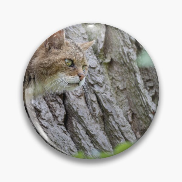 Item preview, European Wildcat designed and sold by Calidris Fotografie Steffi & Ben Köppler.