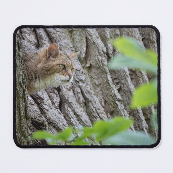 Item preview, European Wildcat designed and sold by Calidris Fotografie Steffi & Ben Köppler.