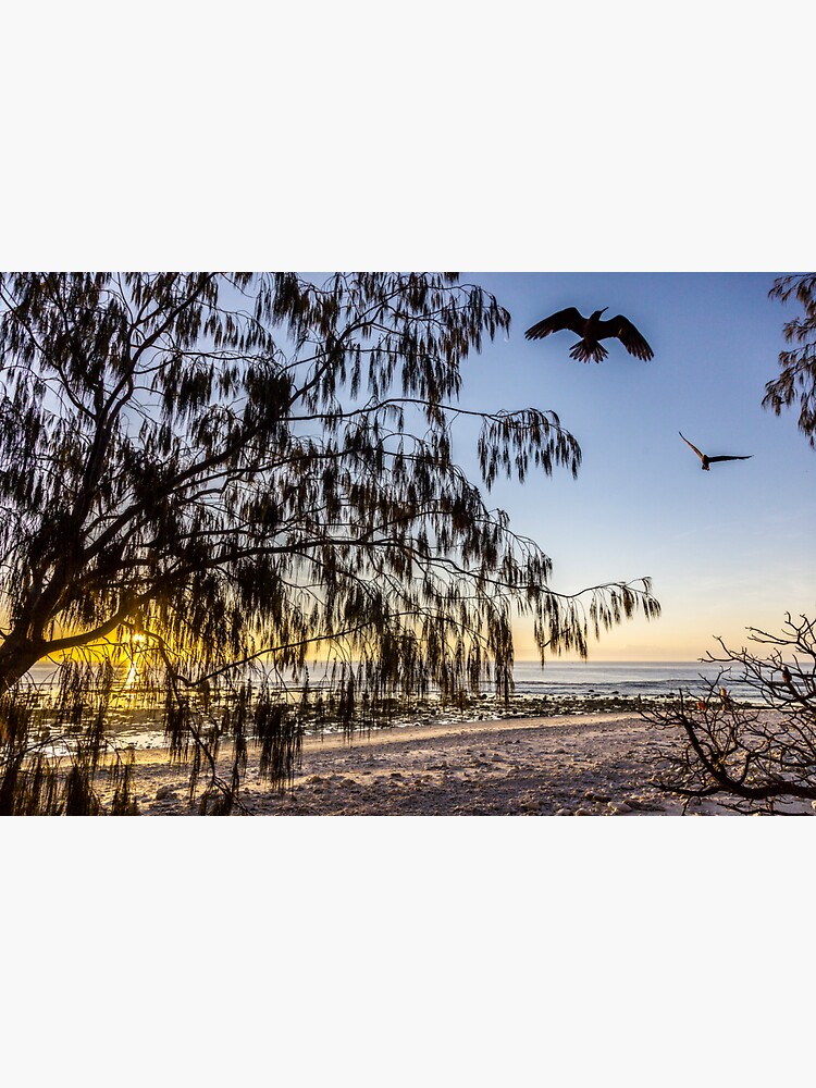 Coming home to roost by DavidWachenfeld