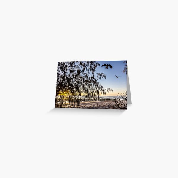 Coming home to roost Greeting Card