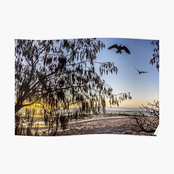 Coming home to roost Poster