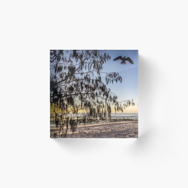 Coming home to roost Acrylic Block