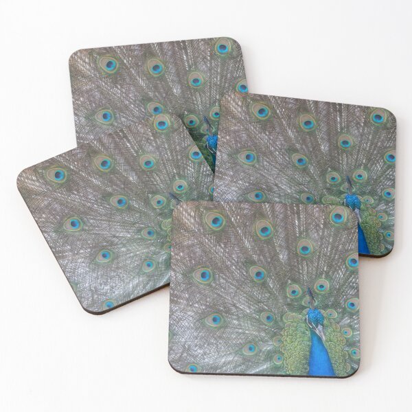 Item preview, Peacock designed and sold by Calidris Fotografie Steffi & Ben Köppler.