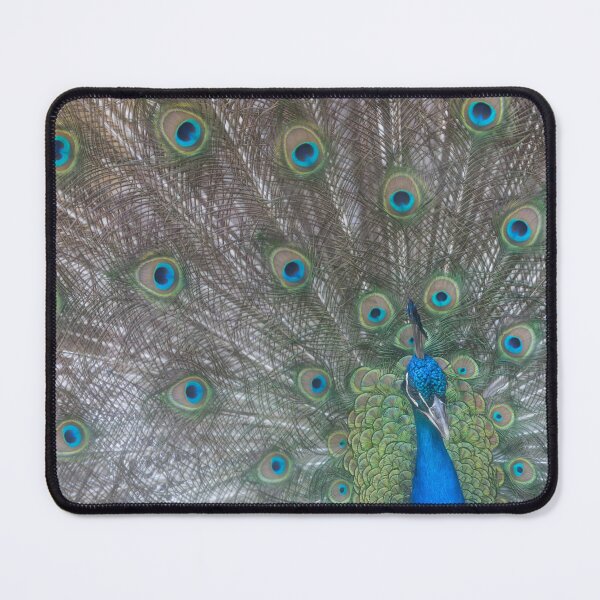 Item preview, Peacock designed and sold by Calidris Fotografie Steffi & Ben Köppler.