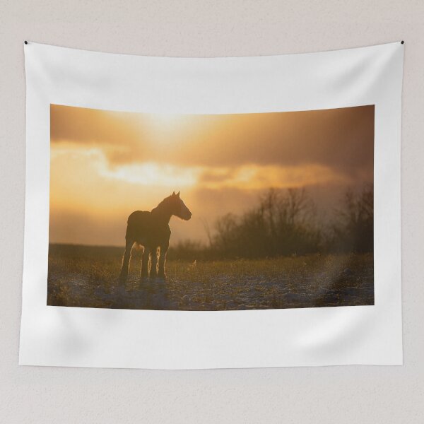 Item preview, Clydesdale Horse Silhouette at Sunset designed and sold by James Cumming.