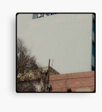 Melbourne's squares 06 Canvas Print