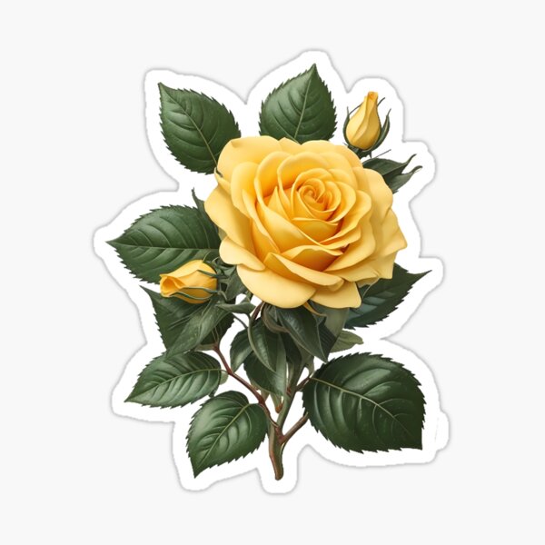 Item preview, Yellow rose Sticker, Beautiful rose in summer garden, Beautiful Yellow Roses Botanical Art designed and sold by WhiteDoveArt.