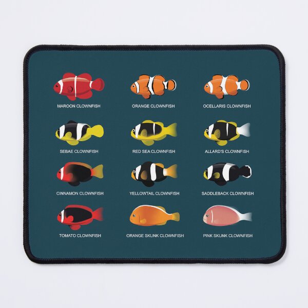Item preview, Clownfish with Names Set designed and sold by SUPERHERON.