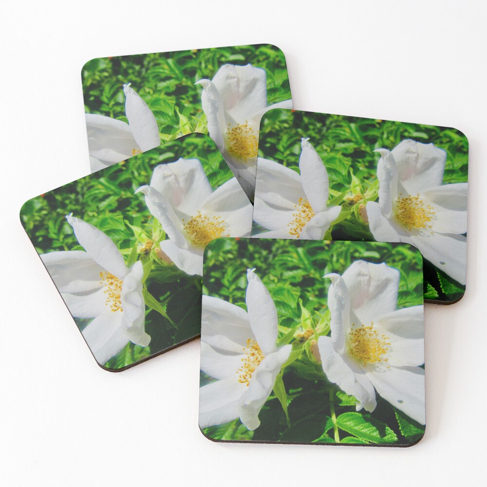 Item preview, Coasters (Set of 4) designed and sold by Shulie1.