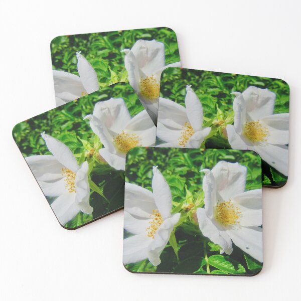 Item preview, Wild Roses designed and sold by Shulie1.