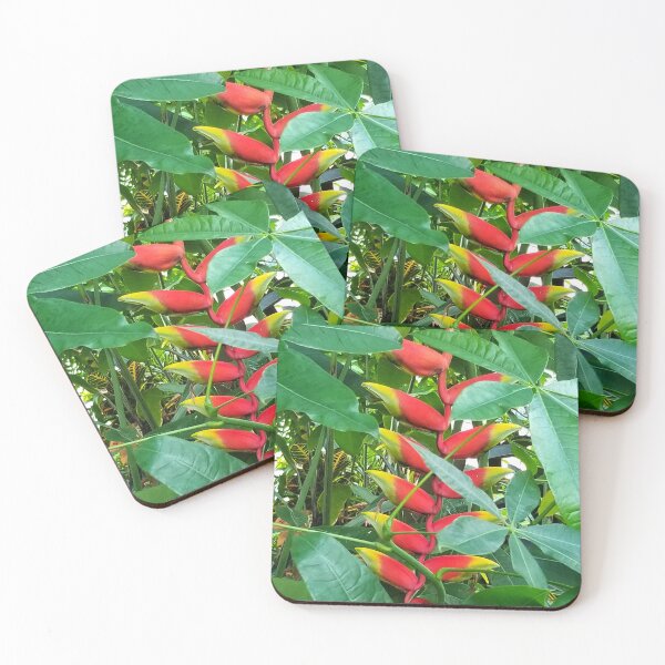 Item preview, Lobster Claw Heliconia Hanging in Jungle designed and sold by Creative Endeavors ..
