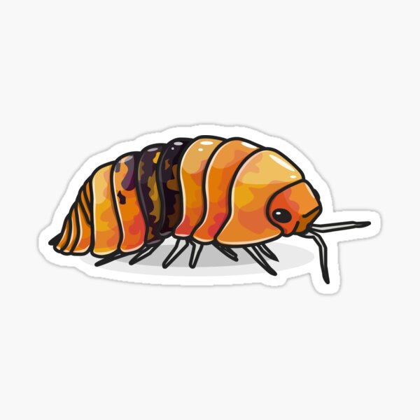 Vista previa del artículo con la obra «Isópodo ámbar | Roly Poly Naranja Negro», diseñado y vendido por Kompromisss.