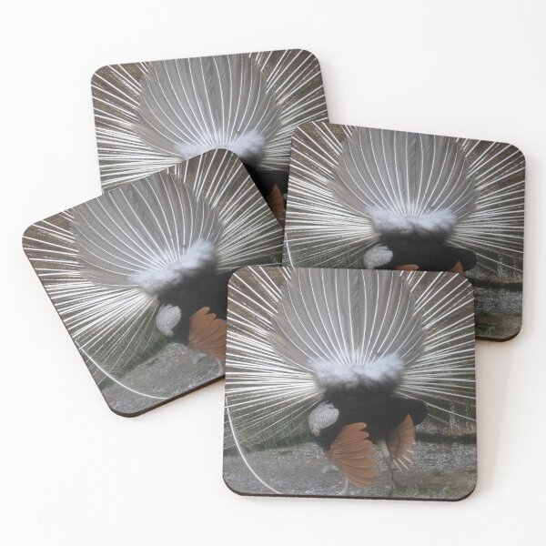 Item preview, blue peafowl designed and sold by Calidris Fotografie Steffi & Ben Köppler.