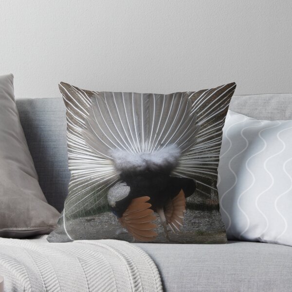 Item preview, blue peafowl designed and sold by Calidris Fotografie Steffi & Ben Köppler.