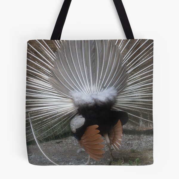 Item preview, blue peafowl designed and sold by Calidris Fotografie Steffi & Ben Köppler.