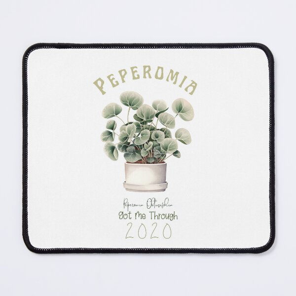 Item preview, This Plant Got Me Through 2020 T-Shirt | Cute and Inspirational Botanical Tee designed and sold by Abystoic.