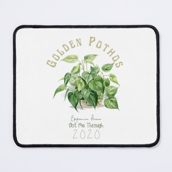 Item preview, This Plant Got Me Through 2020 T-Shirt | Cute and Inspirational Botanical Tee designed and sold by Abystoic.