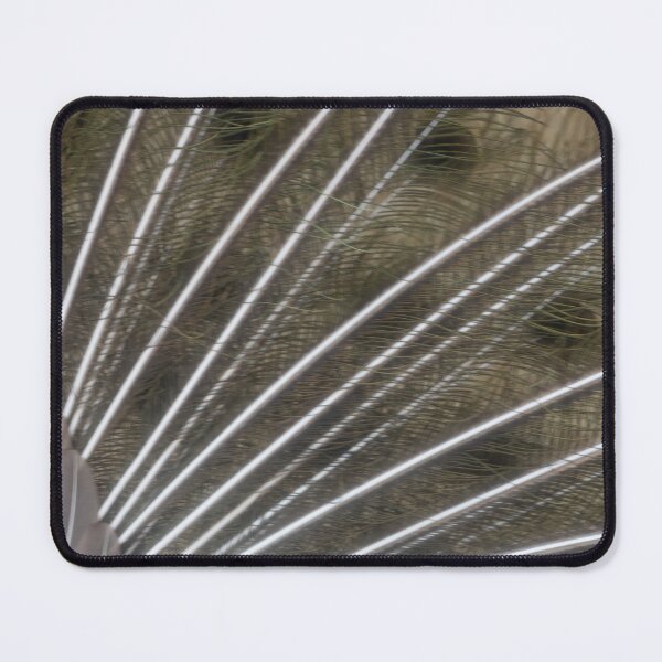 Item preview, Blue Peafowl designed and sold by Calidris Fotografie Steffi & Ben Köppler.