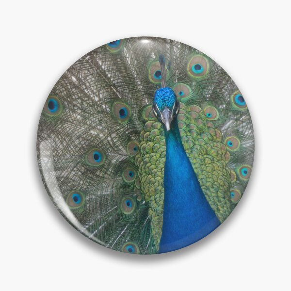 Item preview, Blue Peafowl designed and sold by Calidris Fotografie Steffi & Ben Köppler.