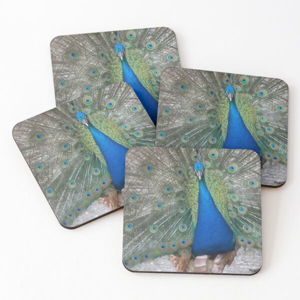 Item preview, Blue Peafowl designed and sold by Calidris Fotografie Steffi & Ben Köppler.