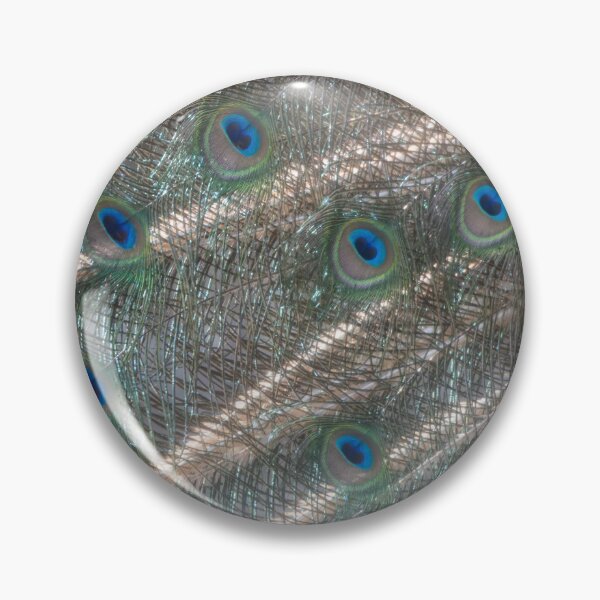 Item preview, Blue Peafowl designed and sold by Calidris Fotografie Steffi & Ben Köppler.