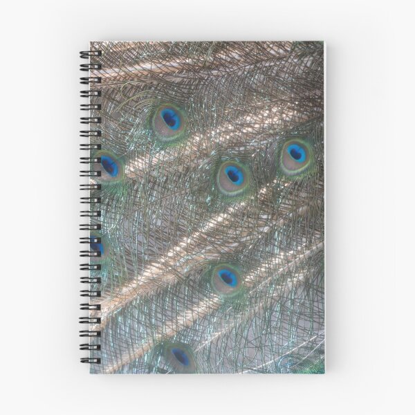 Item preview, Blue Peafowl designed and sold by Calidris Fotografie Steffi & Ben Köppler.