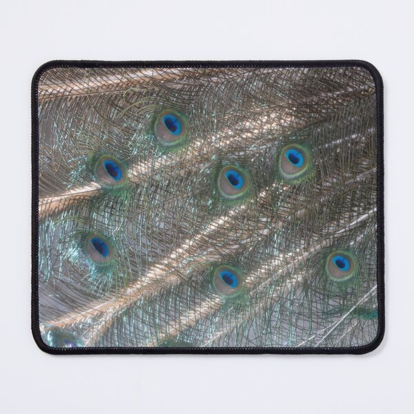 Item preview, Blue Peafowl designed and sold by Calidris Fotografie Steffi & Ben Köppler.