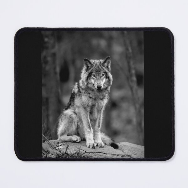 Item preview, Timber Wolf  designed and sold by James Cumming.
