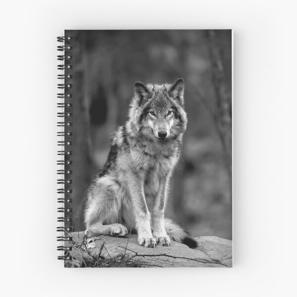 Item preview, Timber Wolf  designed and sold by James Cumming.