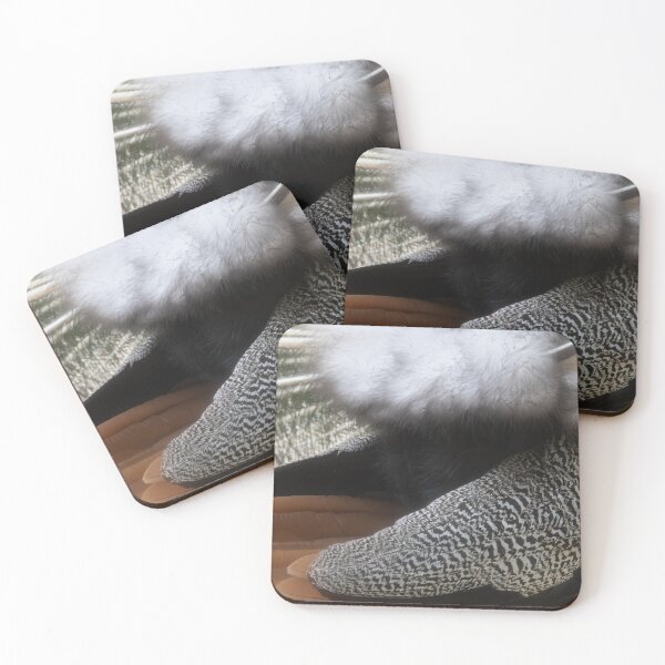 Item preview, Blue Peafowl designed and sold by Calidris Fotografie Steffi & Ben Köppler.