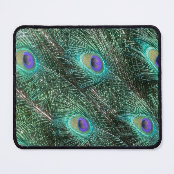Item preview, Blue Peafowl designed and sold by Calidris Fotografie Steffi & Ben Köppler.