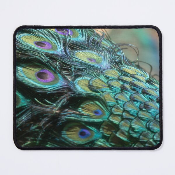 Item preview, Blue Peafowl designed and sold by Calidris Fotografie Steffi & Ben Köppler.
