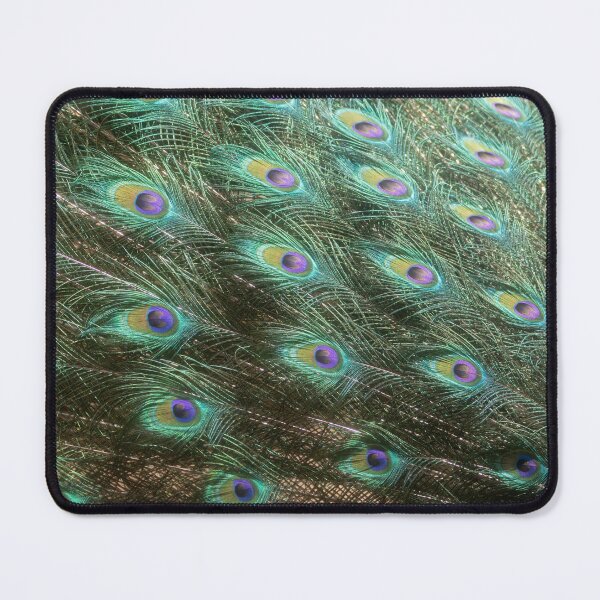 Item preview, Blue Peafowl designed and sold by Calidris Fotografie Steffi & Ben Köppler.