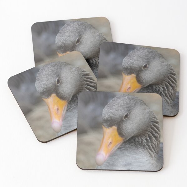 Item preview, Greylag Goose designed and sold by Calidris Fotografie Steffi & Ben Köppler.