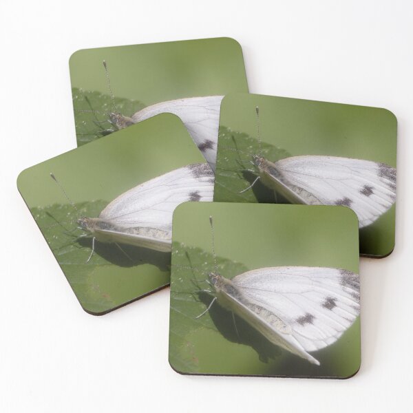 Item preview, Cabbage Butterfly designed and sold by Calidris Fotografie Steffi & Ben Köppler.