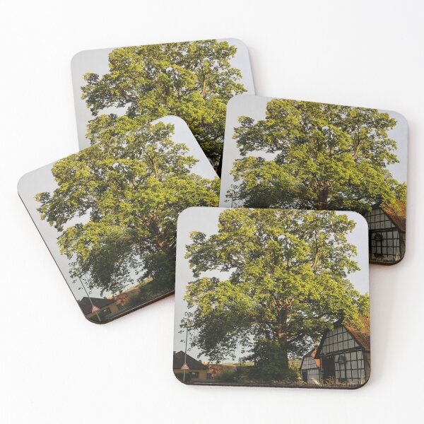 Item preview, Oak designed and sold by Calidris Fotografie Steffi & Ben Köppler.
